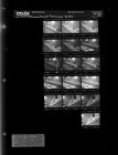 Kenland Restaurant, Buffet (16 negatives) (July 25, 1966) [Sleeve 43, Folder c, Box 40]